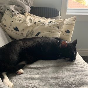 Meet your Posher, Elena